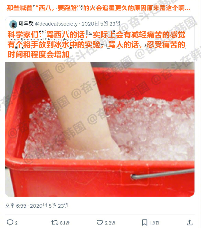 整天嚷嚷着“西八要跑路”的人会追星更久的原因： 海外新鲜事 热点现场