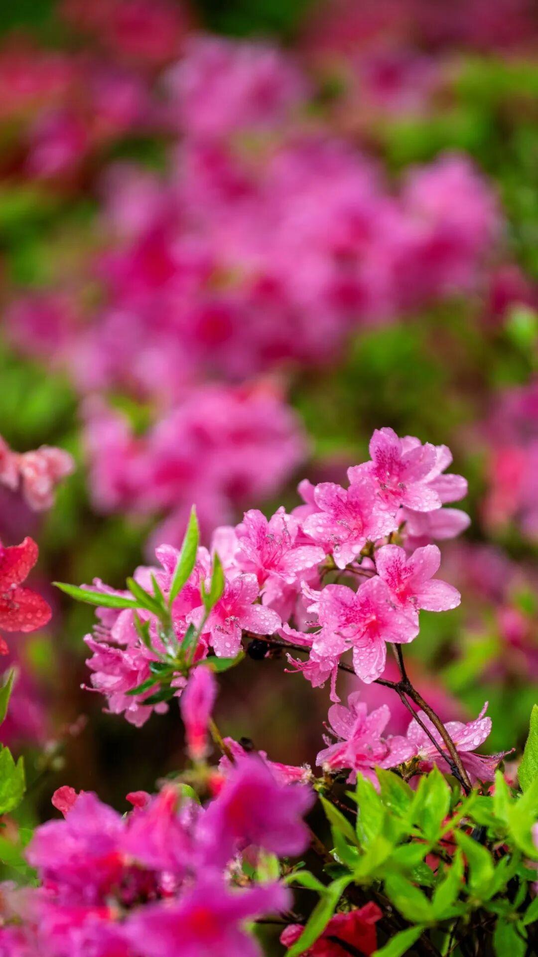 【什么为了孩子啊，什么逼不得已啊，那么爱孩子，就好好相爱，给孩子一个真正有爱的家
