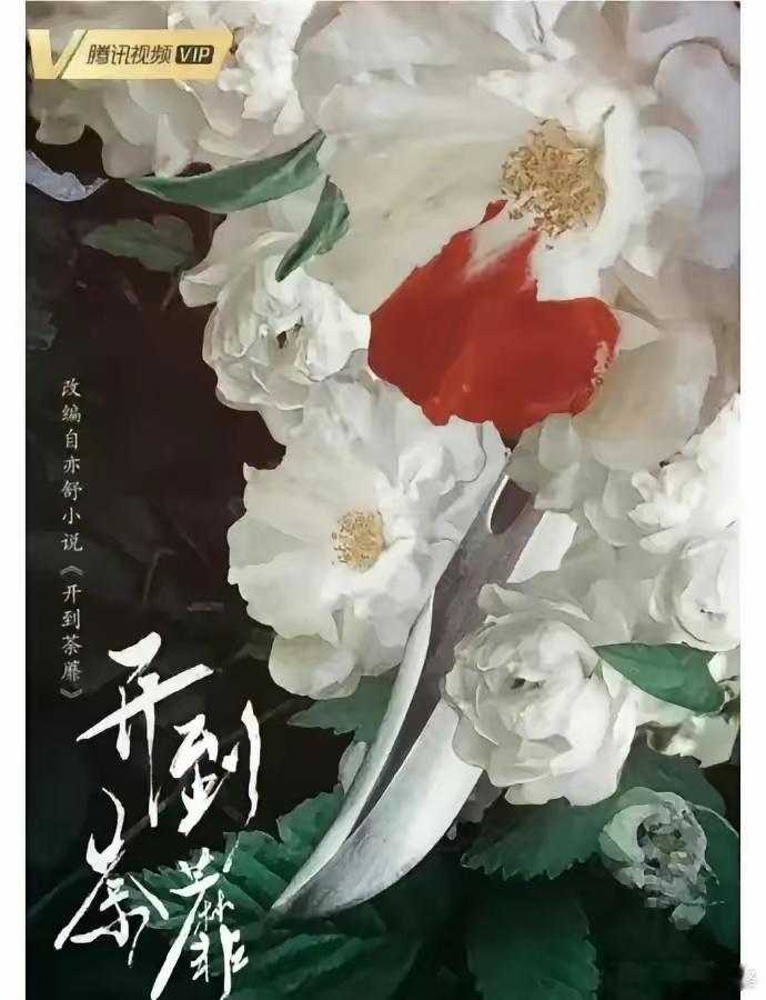 白鹿这几年搭的都是王鹤棣、张凌赫、欧豪这种级别的男演员。新戏《开到荼靡》的男主，