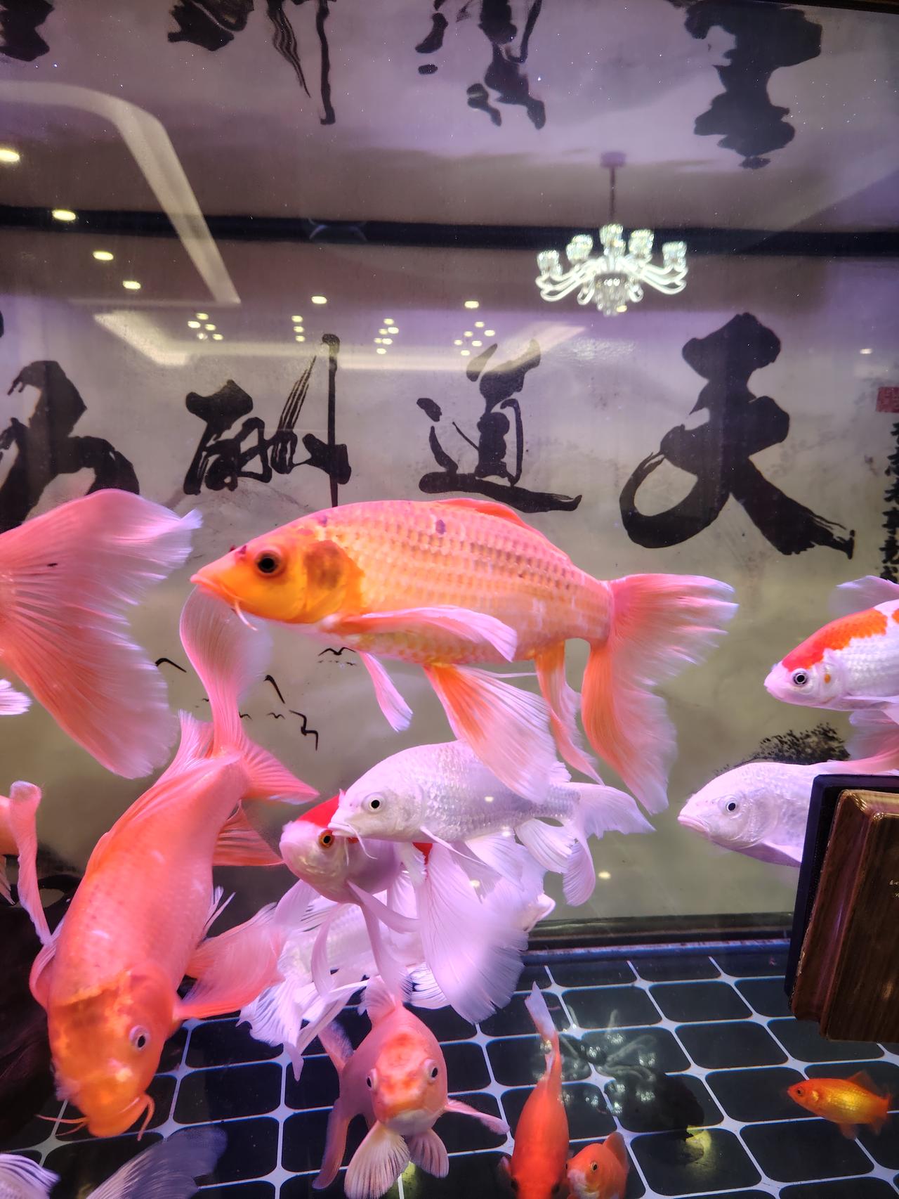 冬日生活打卡季