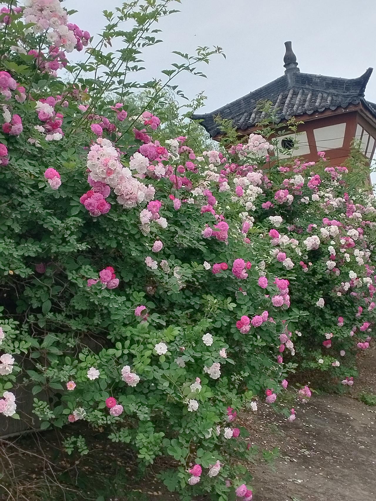 下联：风风雨雨风雨终散

先拆解这副上联的核心巧思：它用AABB式叠词“云云雾雾