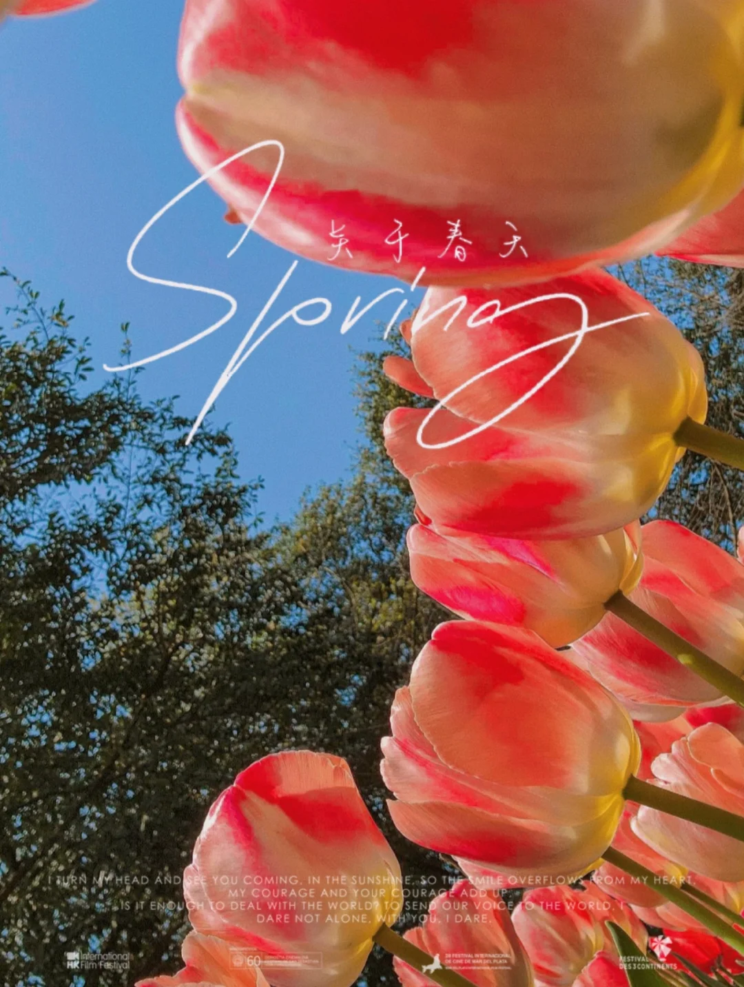 三星s22相机使用技巧|小白也能学会的设置