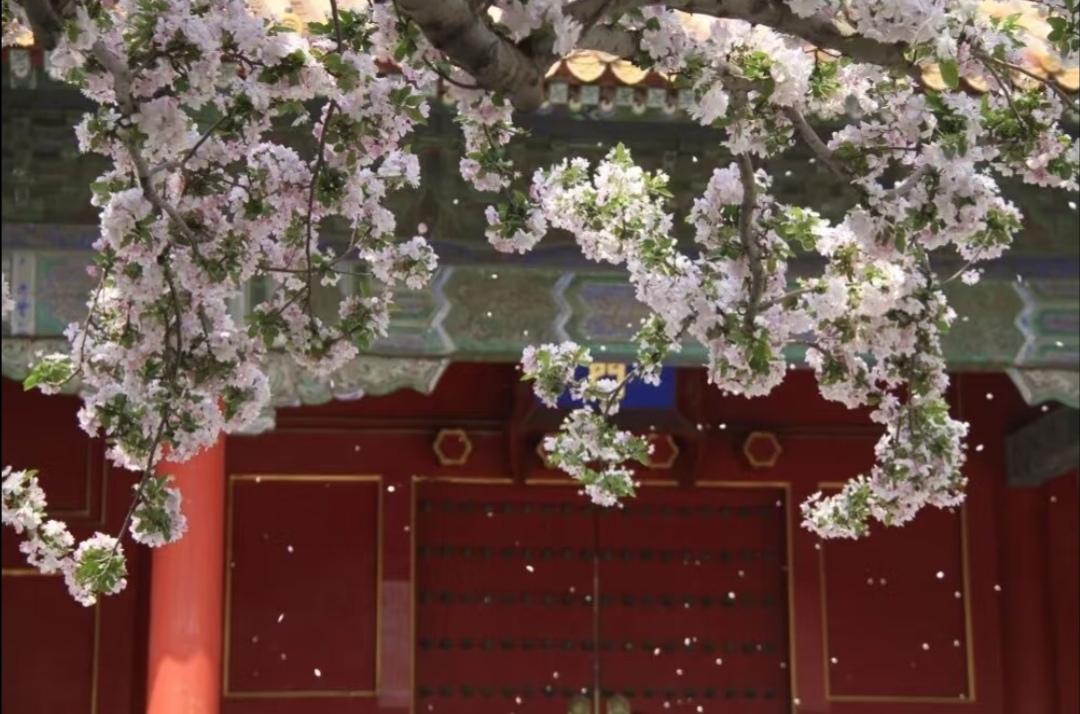 我们平时读的《道德经》，大多是传世通行版，其实1973年马王堆出土的帛书版《道德