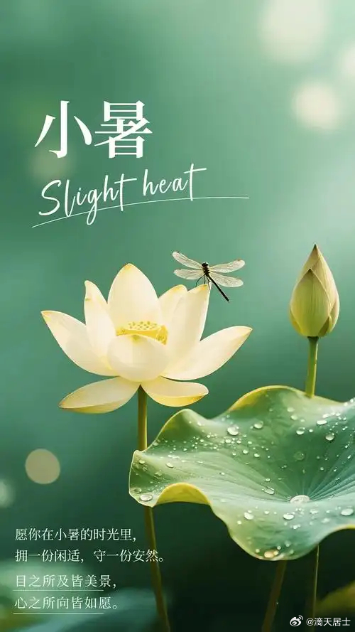 今日小暑，今年的小暑时节，五行的能量以火为主，今年的火能量更比往年要旺，那喜火的