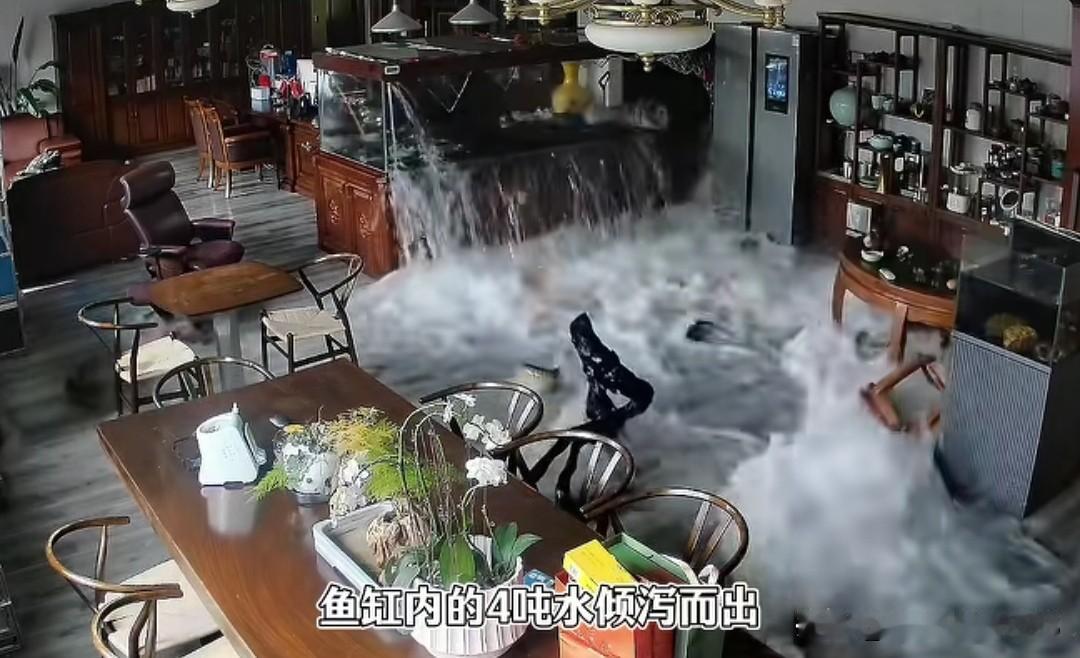 十年养鱼无人看，鱼缸一爆全网火！30万名贵龙鱼直接变全鱼宴，老板含泪喝汤
 
事
