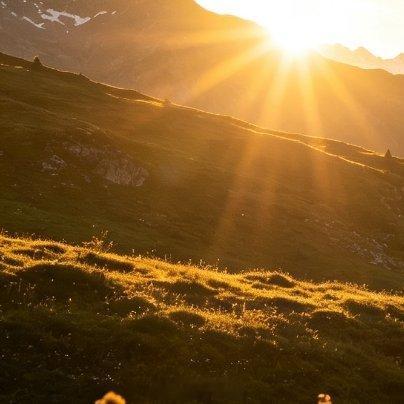 阳光信用🌞阳光信用 🌞每日一善 人之初性本善。 上善若水大爱无疆。 慈心为民
