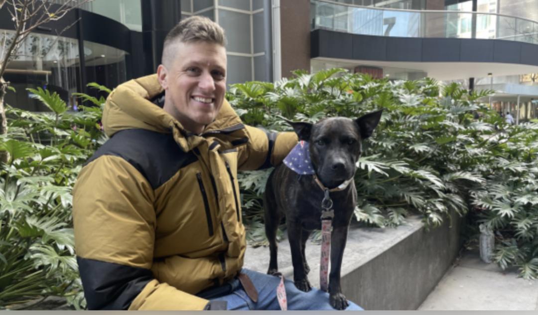 别神化了！
3月29日，中国新闻周刊报道，澳大利亚程序员保罗借助AI为患癌犬罗茜