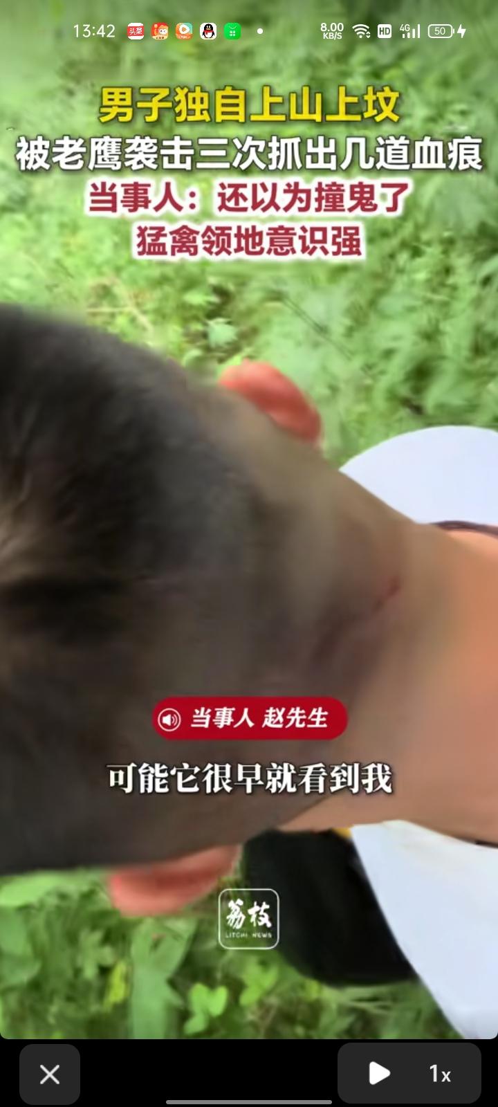 6月27日，河南南阳。网友晒视频称，自己上山上坟时，突然被老鹰袭击三次，背后被抓