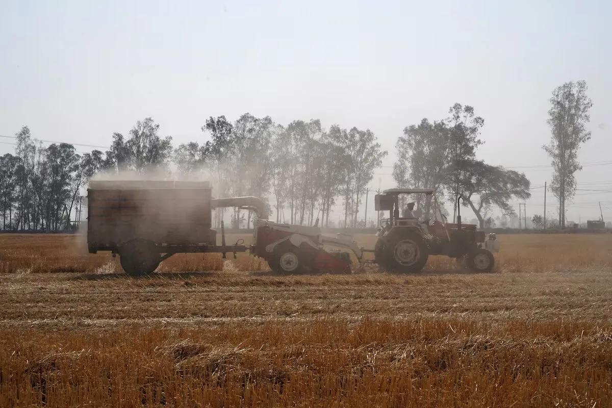 路透社报道，世界第二大小麦生产国印度取消了对贸易商、批发商和零售商小麦库存量的限