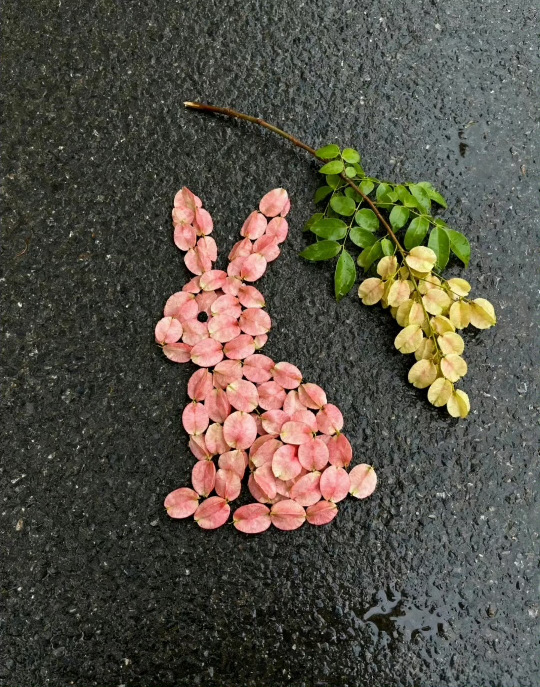 “  拾一片秋，拼一个梦 …  ” 