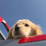 霏辰说说国际