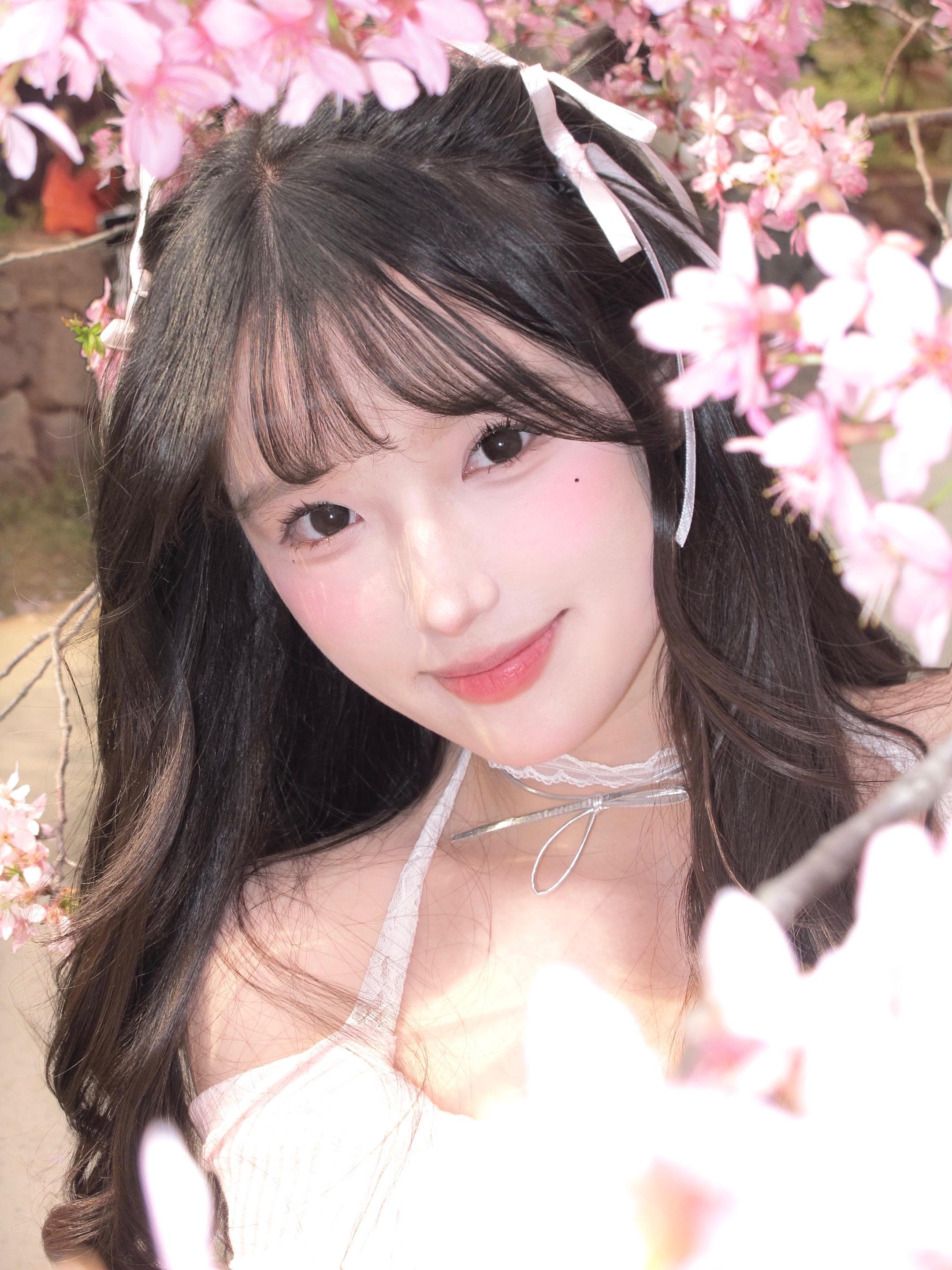 樱绽，春笺上的诗意落款