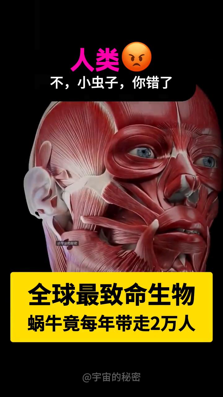 全球最致命生物，蜗牛竟每年带走2万人。
宇宙的秘密。
没有什么比我更致命！不，小