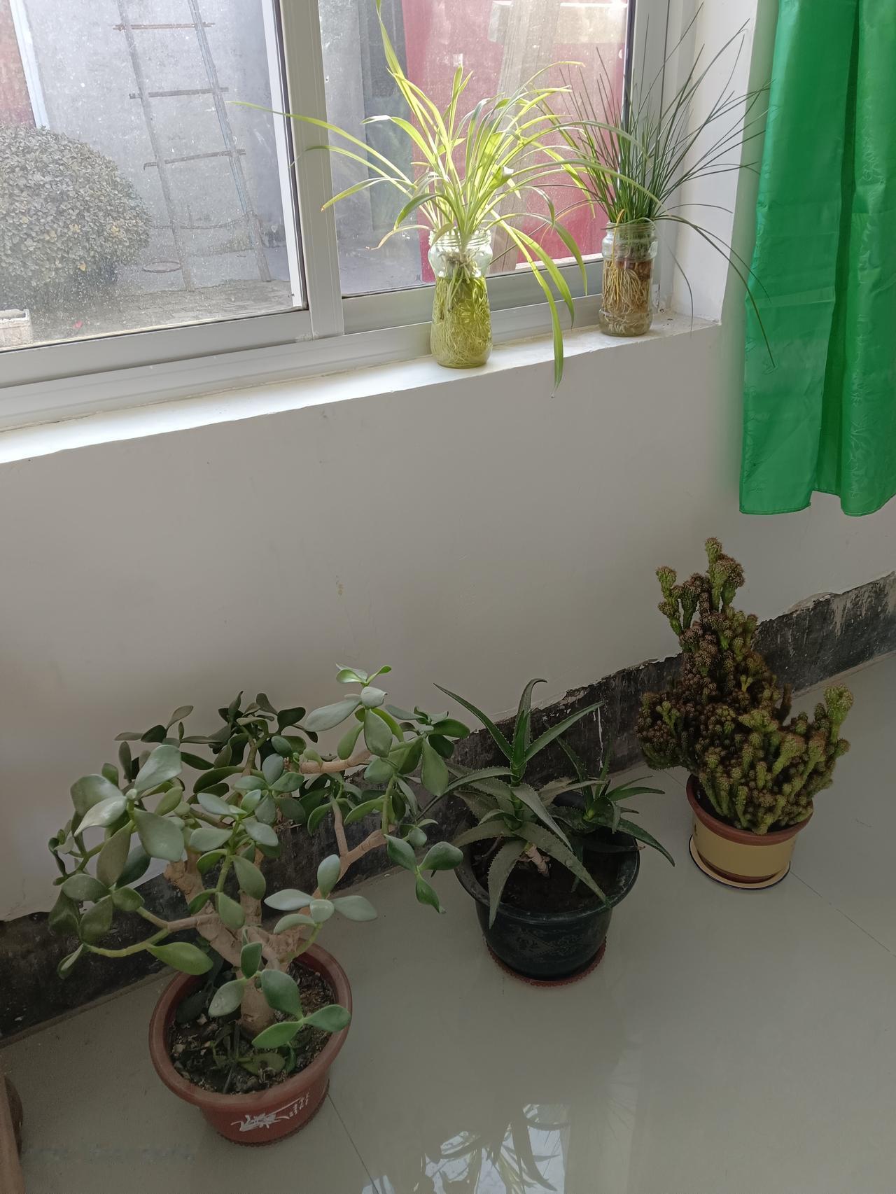 大家给评评理，这是不是可以用“吹毛求疵”这个词来形容，昨天上级来卫生室督导，里里