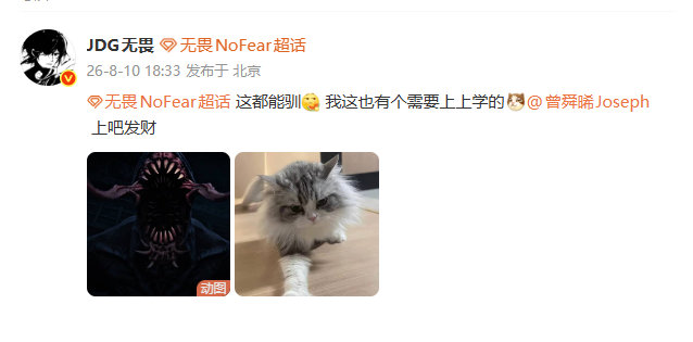 无畏向吴老狗请教驯兽秘籍 无畏向吴老狗请教驯猫秘籍！ 