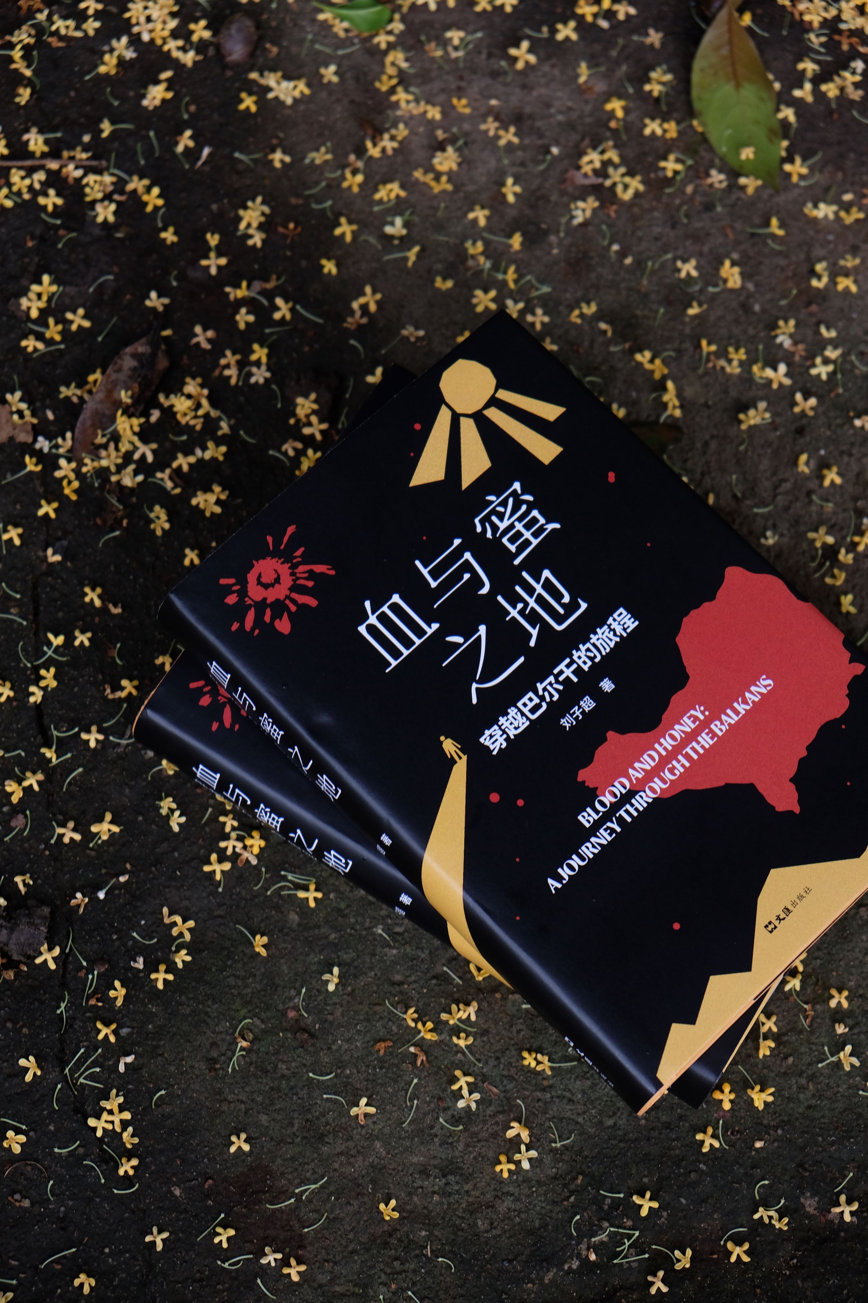 继《失落的卫星》后，单向街年度青年作家暌违四年的最新硬核游记《血与蜜之地》正式上