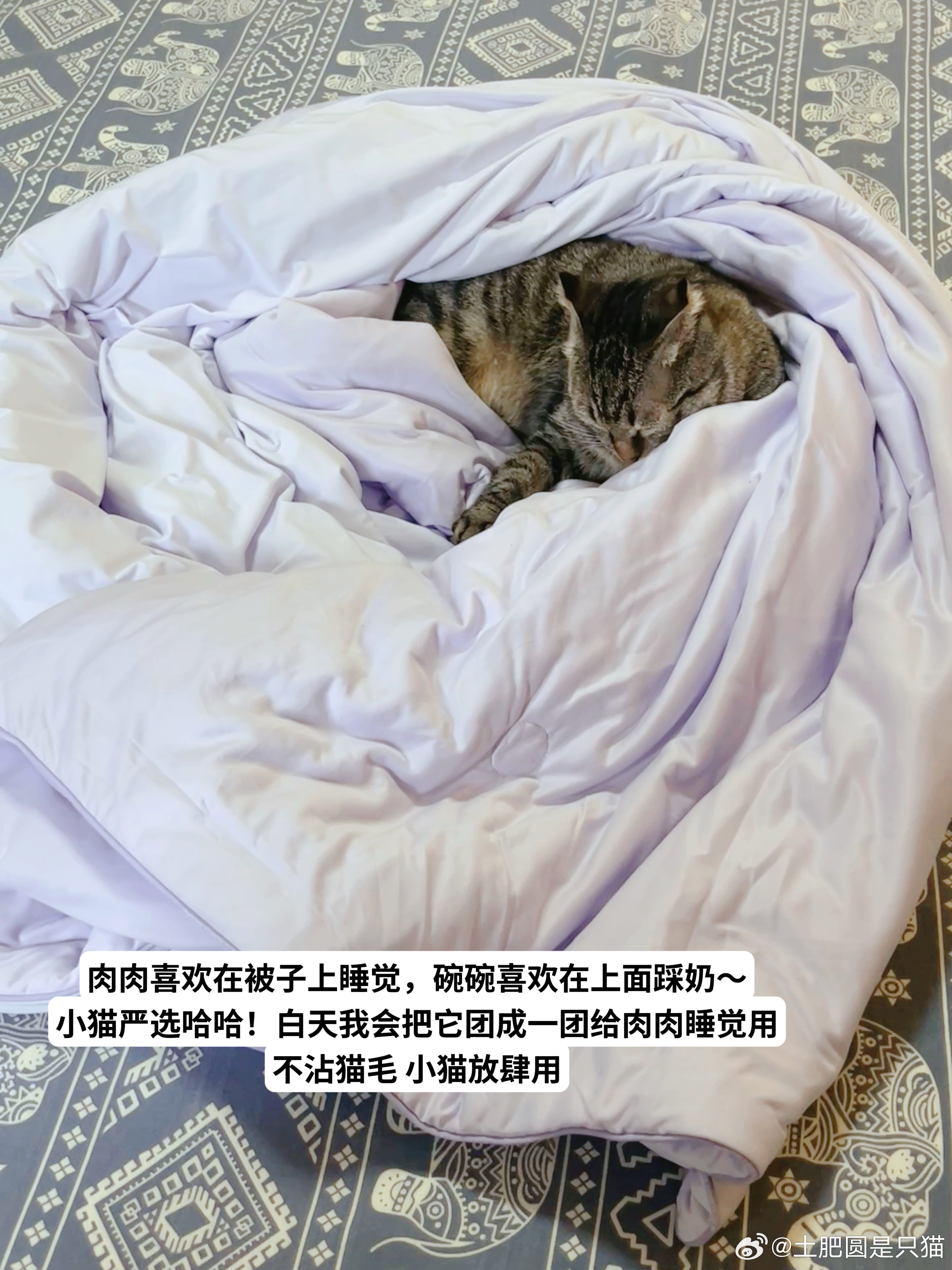 七西的凉被我求你们所有人！一定要买！我第一次盖它的时候，又柔软又凉快，做梦一晚上