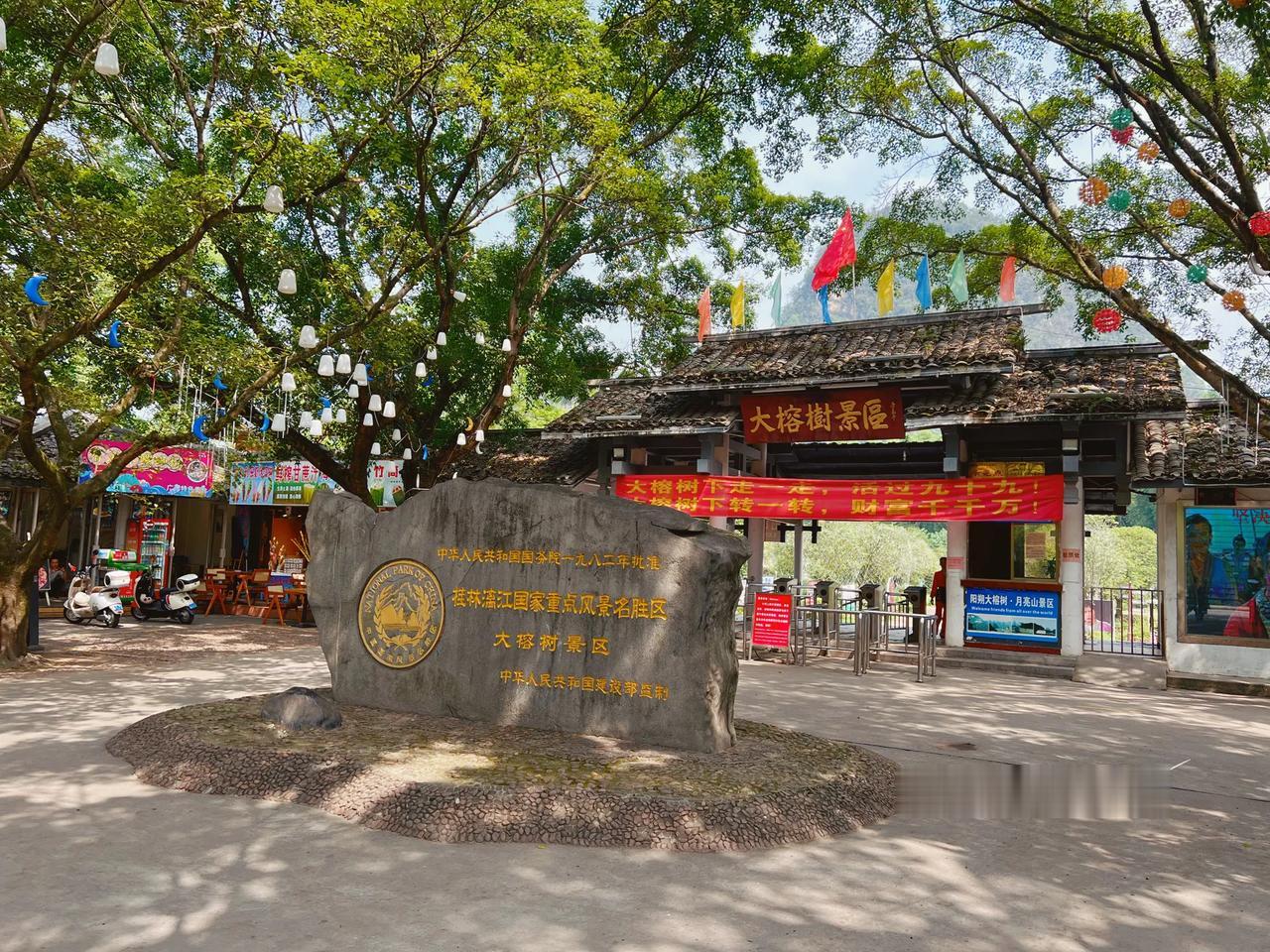 前些天，我在广西桂林旅游，到了阳朔之后，当地朋友推荐我去看看遇龙河边的“大榕树”