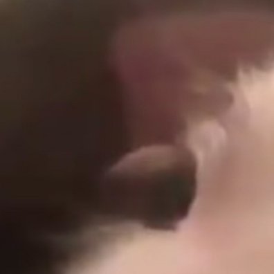 0000每日一善 别叹世界太精彩，别羡他人太美好，这与你无甚关系，你就是你，只须