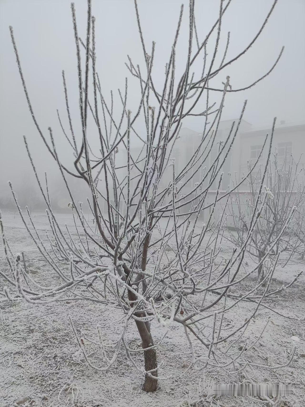 朋友圈里找故事
晒图大赛
朋友圈里真精彩，让我们看看今天朋友圈里有什么好故事？