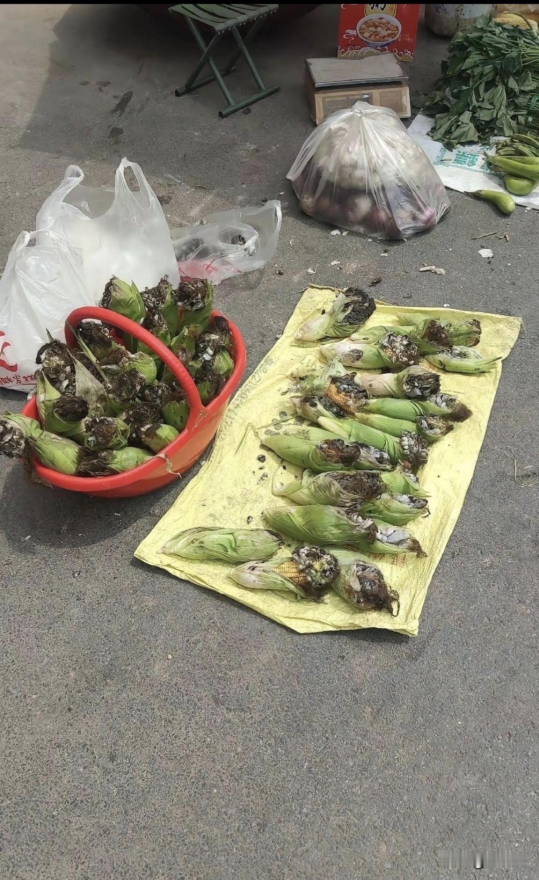 这个网上说是好东西，我看就是发霉变异的苞谷罢了，竟然还真有卖这个的？