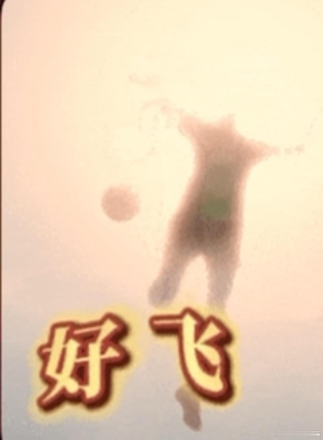 迪丽热巴功夫女足二番 放飞自我的喜剧，在炎炎夏日开怀大笑，《功夫足球》必看！支持