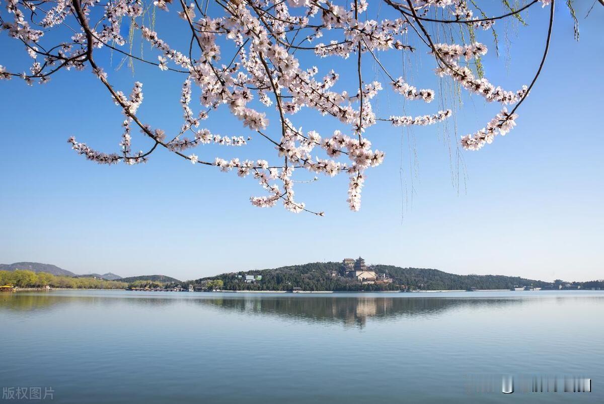 《颐和园春景》

春于颐和园挥毫
湖水揉皱蓝天的画稿
涟漪轻泛，
藏起春的密语