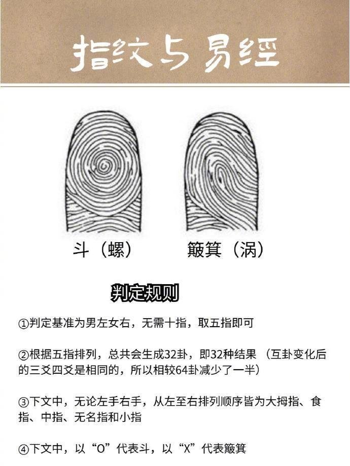 指纹与易经，来看看自己的！ ​​​