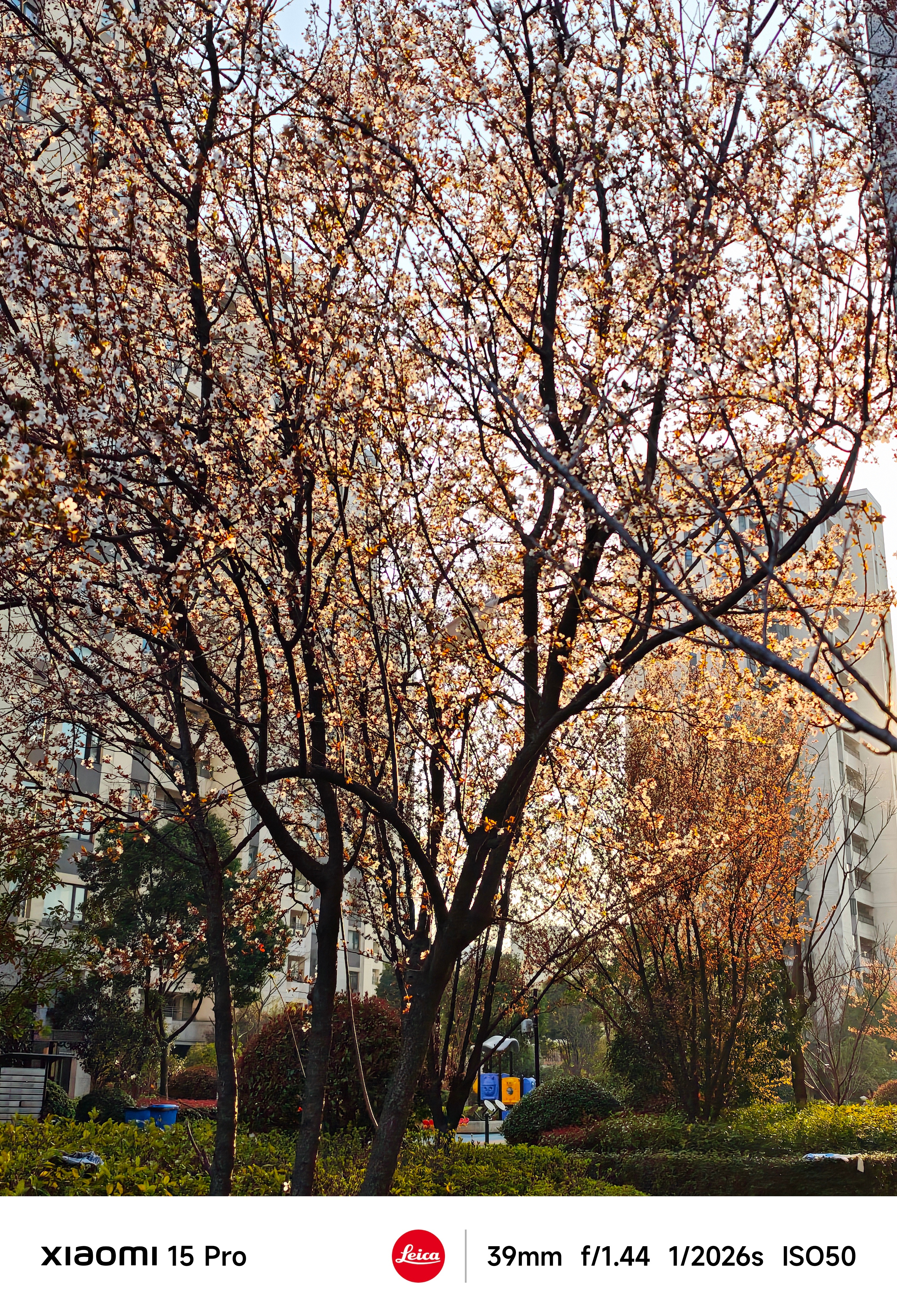 315曝光名单不得不佩服315这些暗访记者！这才是真正为民做的好事儿！给这些记者