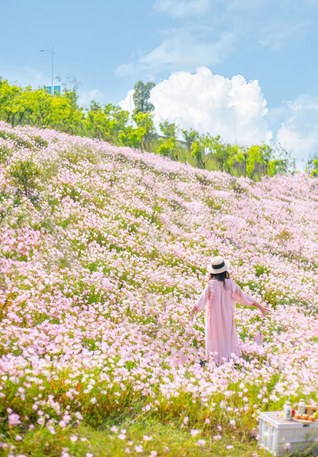 没去过这里，不算到过重庆春天❗️附具体地址