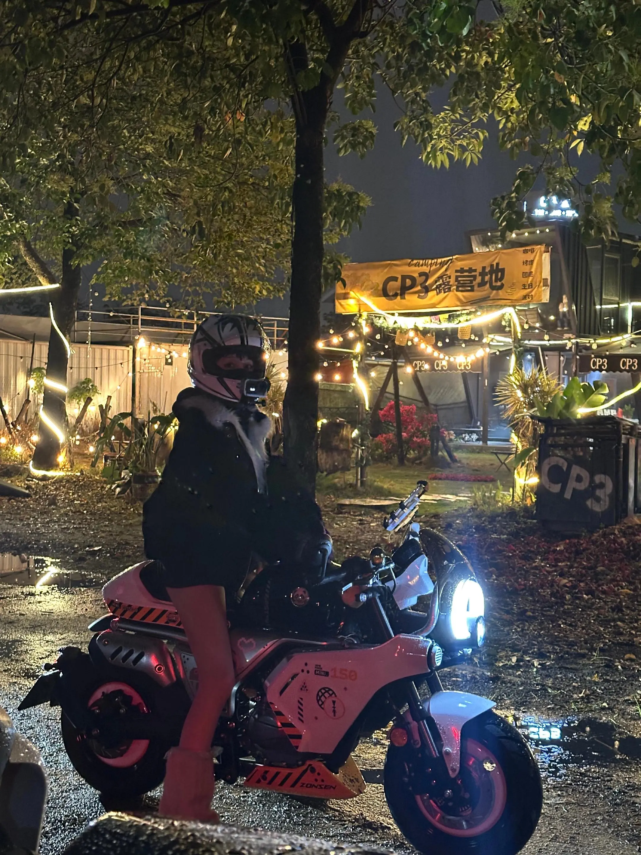 你的名字 我的口头禅