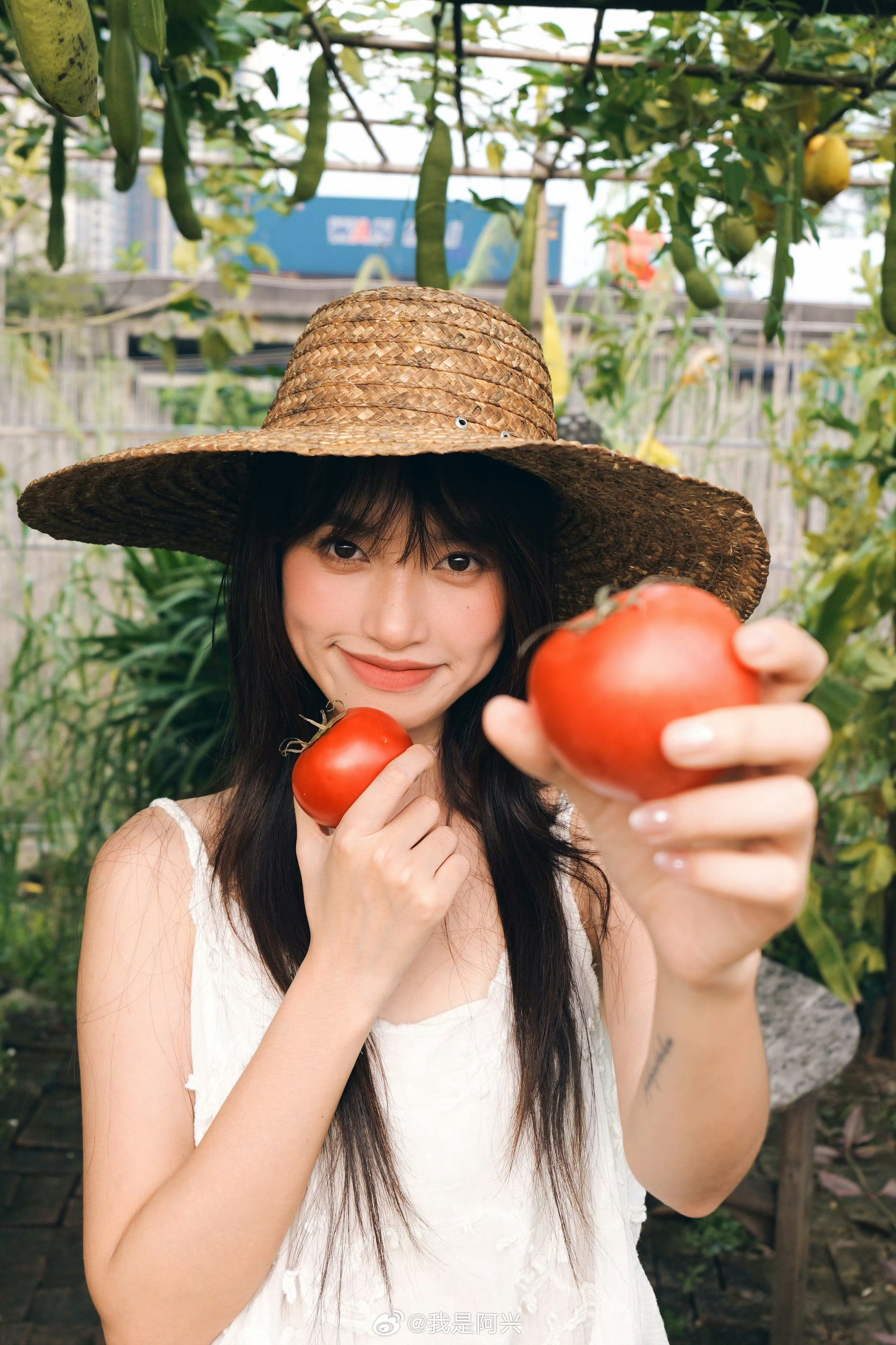 早☀️美好的一天又开始啦每日早起打卡