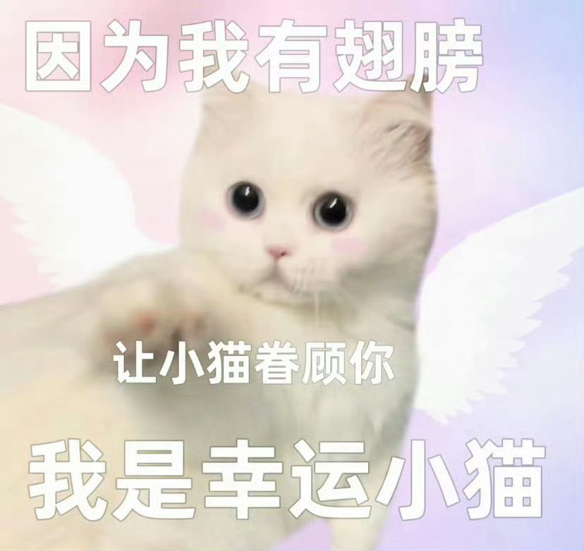 关注我和转发我这条微博，抽一个幸运的粉丝打1000生活费，不过滤！ ​​​  ​