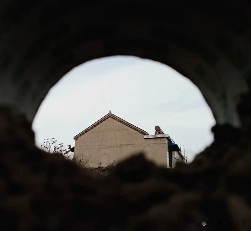 处女座的聪明来源于哪里? 处女座的聪明，主要源于强大的观察力和逻辑思维。他们有着