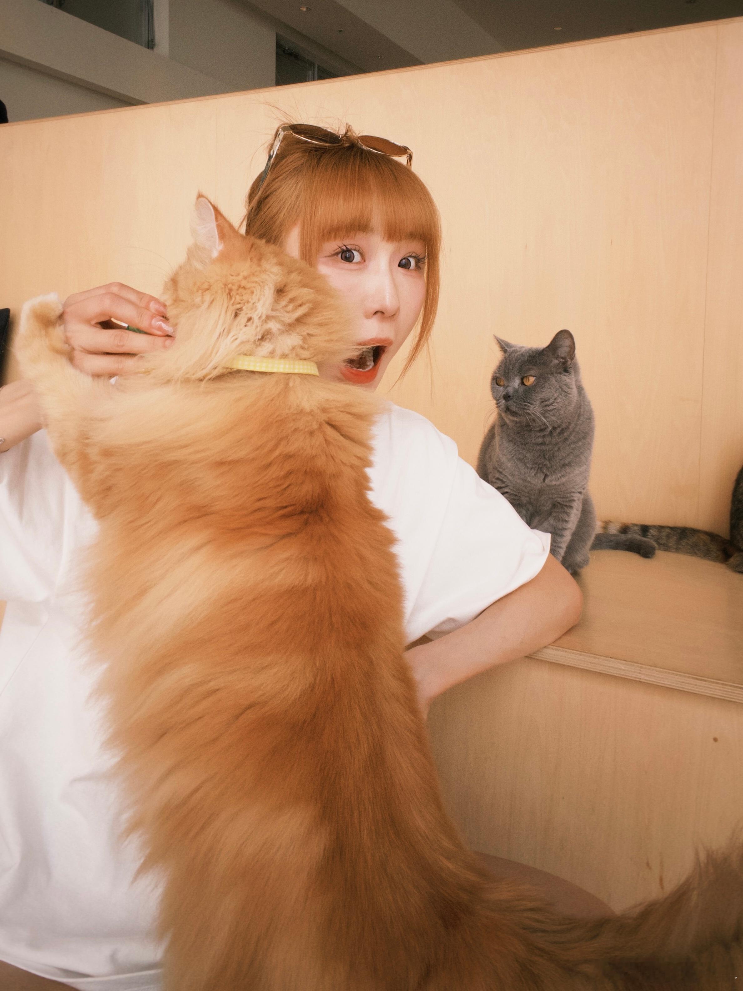 小猫咪！！！！！我爱小喵猫咪日常日常吸猫 日本·Parco (名古屋PARCO)