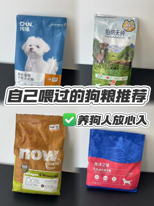 自己喂过的狗粮推荐丨健康小狗养成记