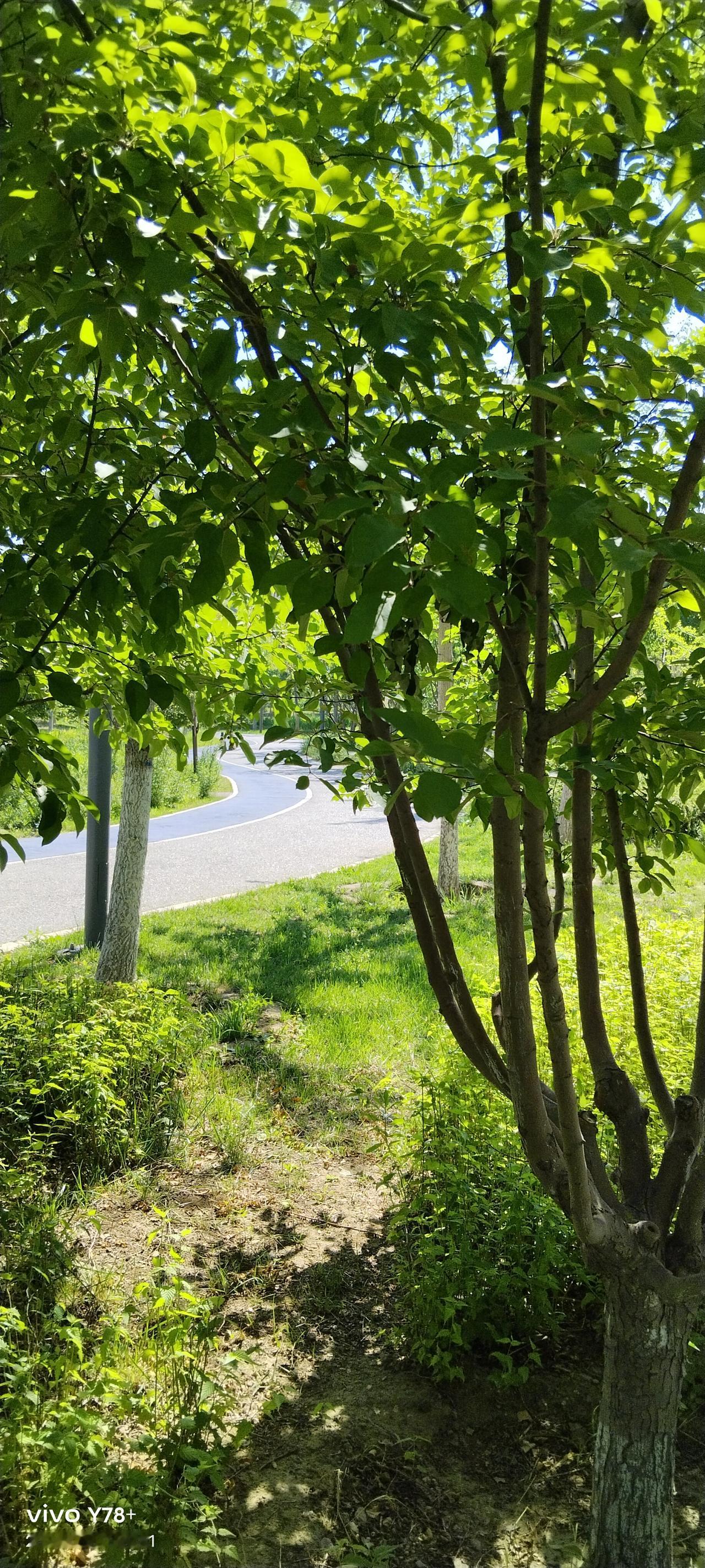 1992年，我们县卫生系统招收一批在编职工，这也是卫生系统的最后一批招工。
条件