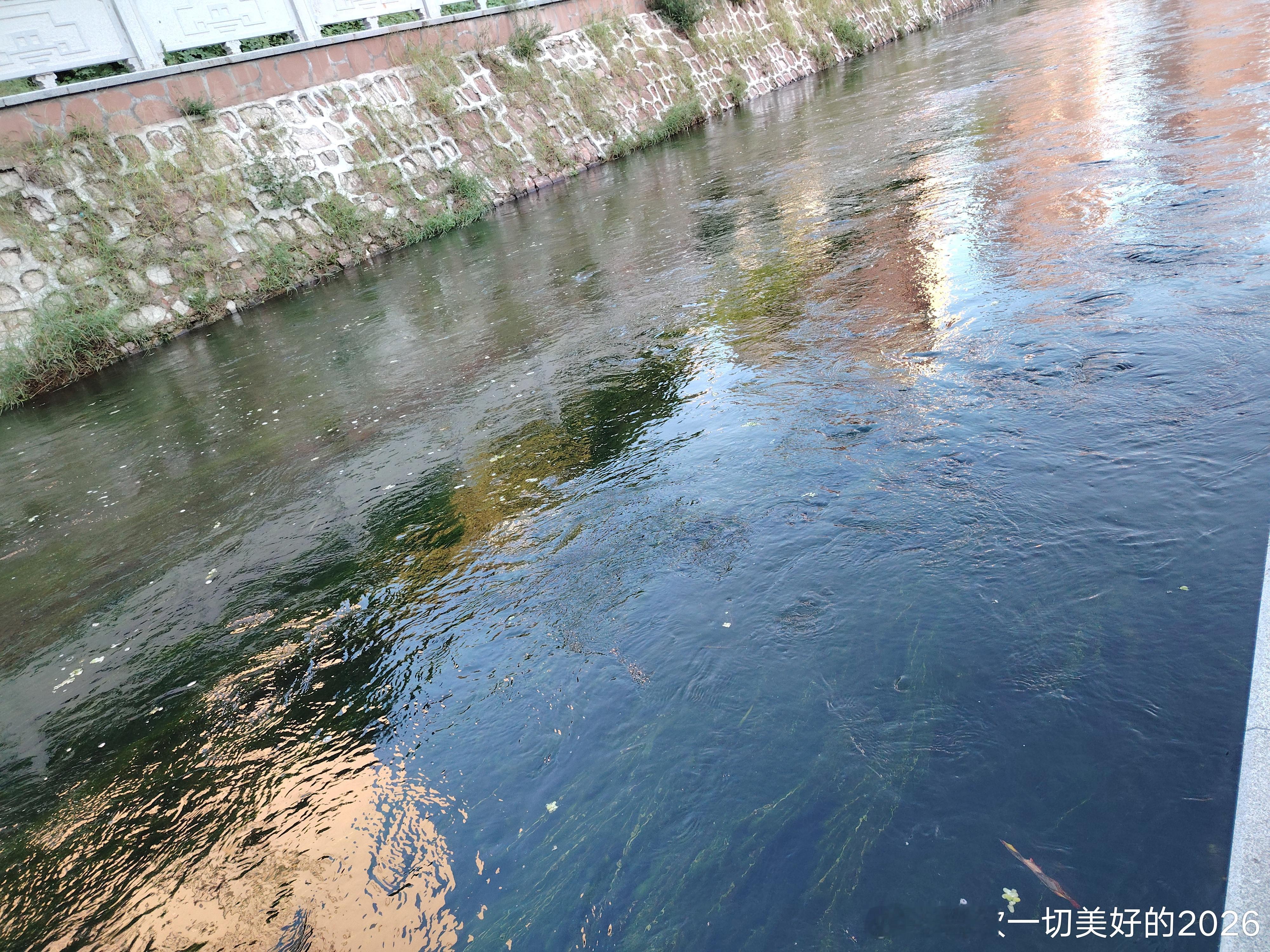 跑湖六公里 ​​​