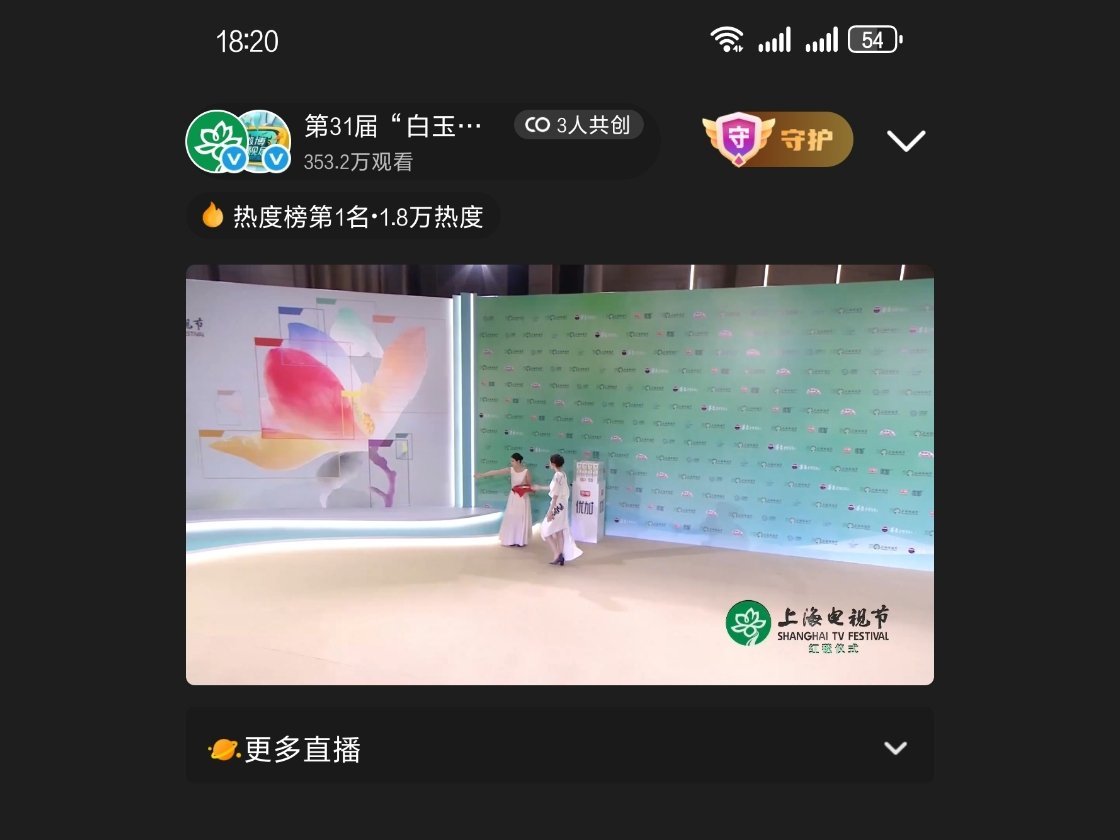 总是放一些大远镜头、 