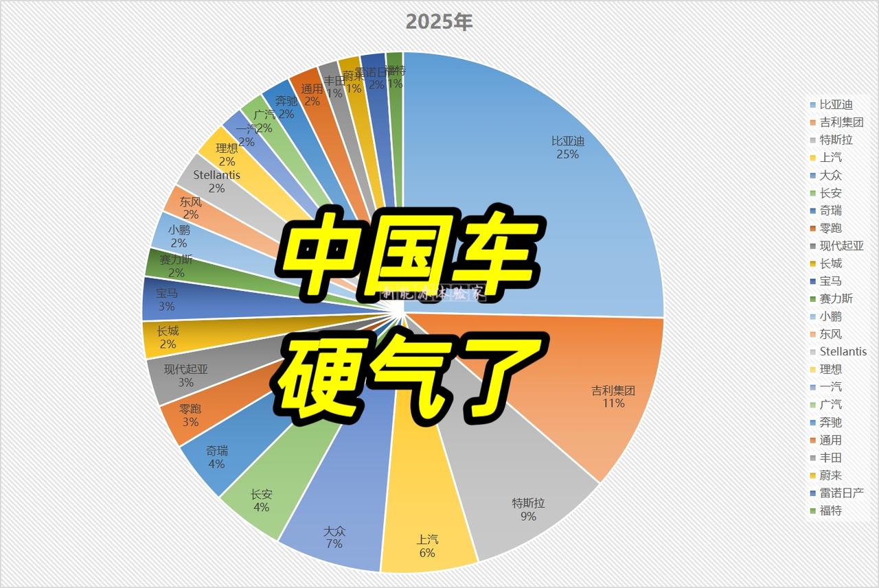 从2019到2025三季度，新能源车企的全球市场版图经历了一场剧烈的重塑。比亚迪