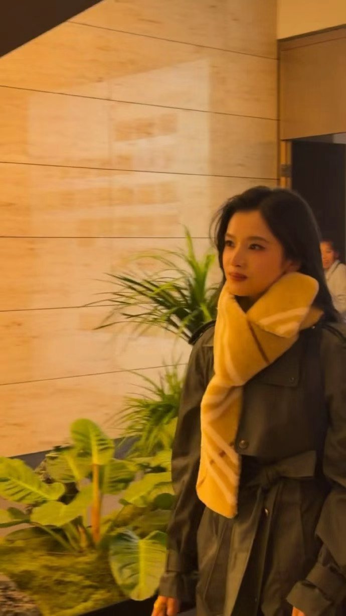 张婧仪冬日温暖的神张婧仪围巾配风衣知性美人感 张婧仪冬日温暖的神，谁懂今天的婧仪