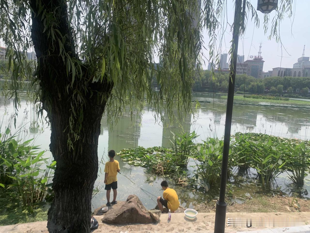 一个成功的布局，开局即追求子力活跃、攻守兼备，牢牢掌握战场主动权。作为先手，需确
