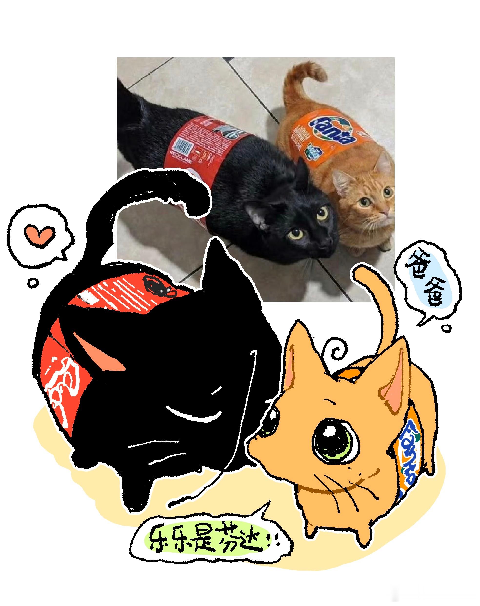 乐乐是芬达！🔶🎃🥕🔸🟠 