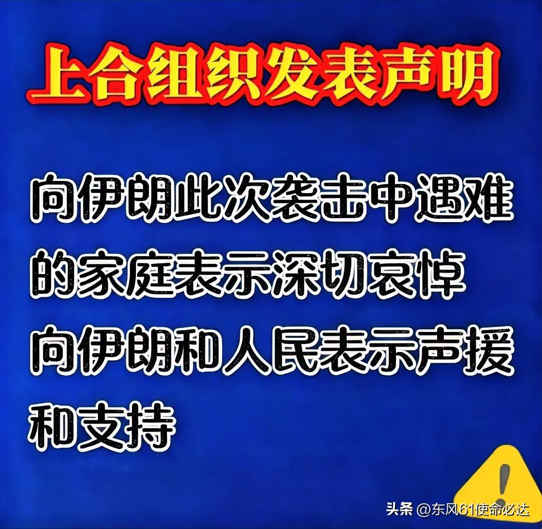 伊朗这次在北京把话挑明了，就在3月3号。

伊朗驻华大使叩开了上合组织秘书处的大