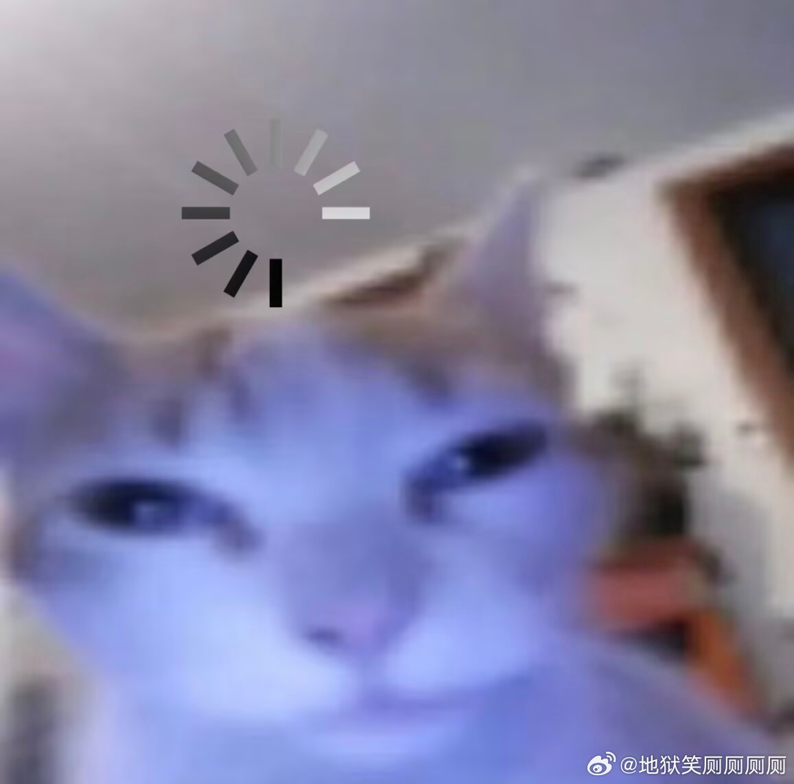 1101有时候觉得单机好舒服但是又很想和别人玩 