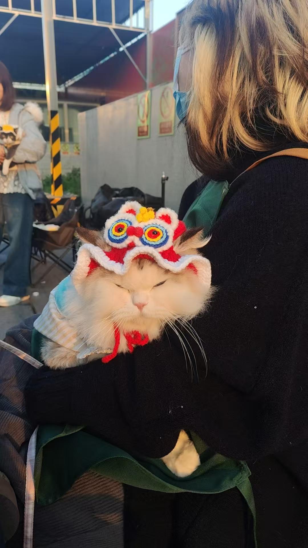 真后悔，下午晒太阳，看到一只猫咪戴的帽子，好好看。又没勇气去问人家在哪儿买的。纠