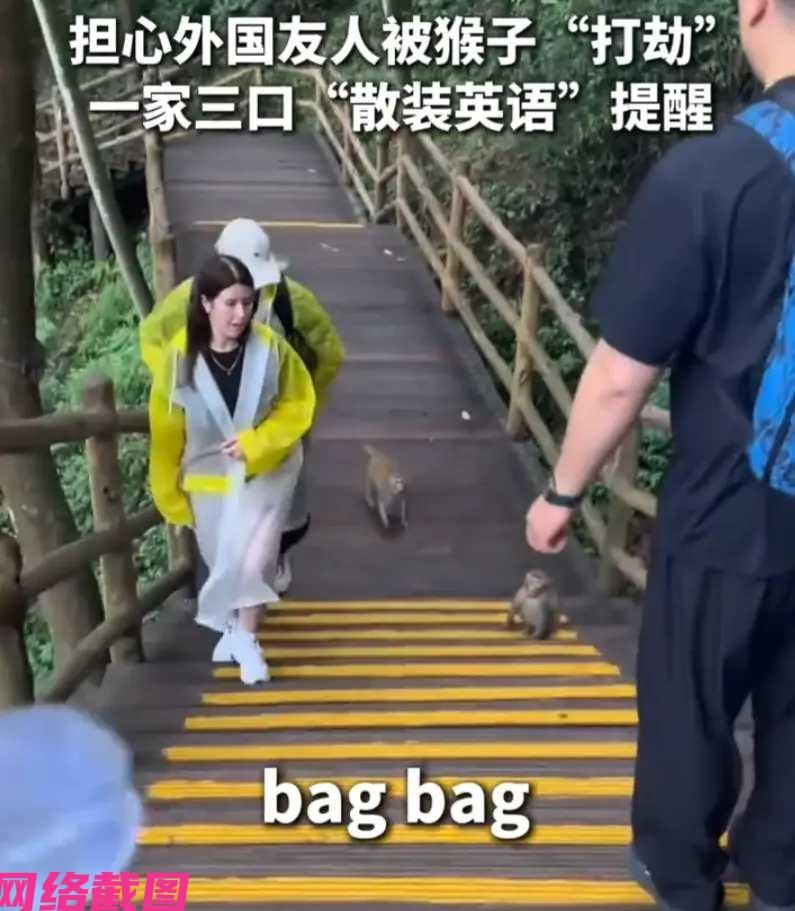 有东北的一家三口在一处景区游玩，途中经过猴子蹲守的一处，此刻也有老外在路过，其女