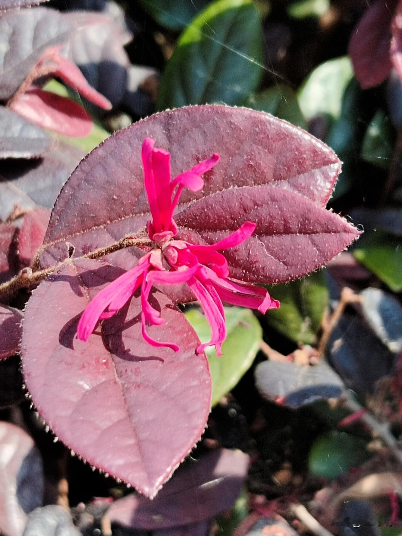 一个家的最大灾难，是有一个这样的人
一、认知低，总想管住全家人的行为，并且全家人