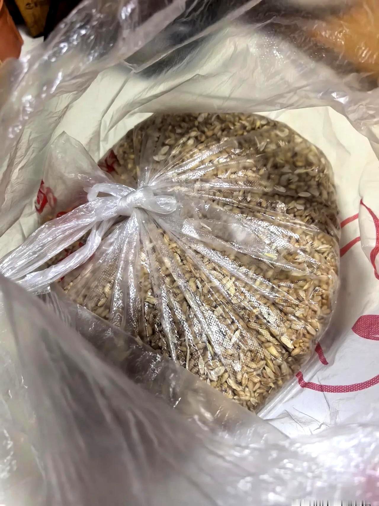帮同事跑腿送包裹，他手一挥塞我一袋“粗粮”，说多吃健康。
我客气收下，兴冲冲拎回