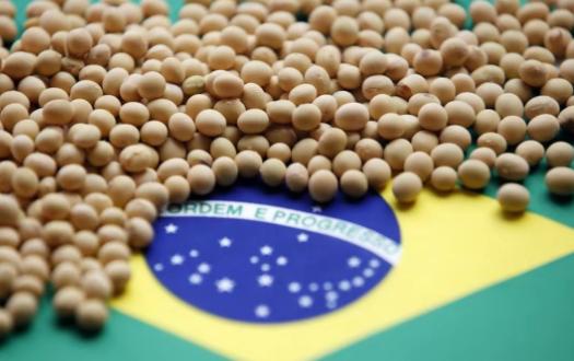 万一阿根廷，美国，巴西三国大豆全部涨价，中国怎么办？

说实在话，如果阿根廷、美